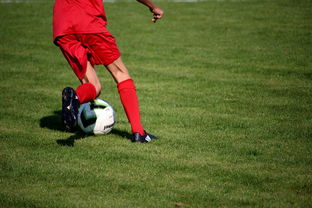 开云入口-NBA球员技术动作进阶训练，nba球员训练方式
