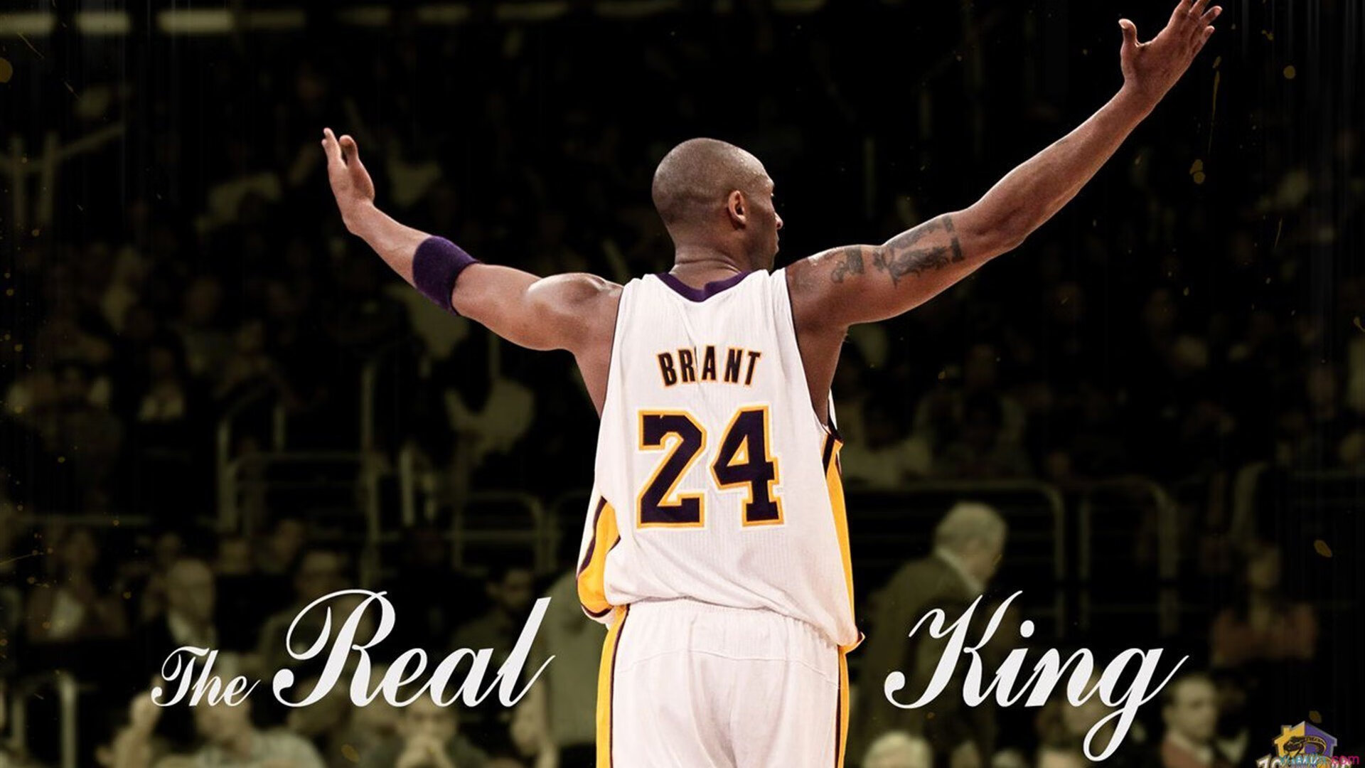 开云官方-NBA球员训练营课程介绍，nba球队训练营