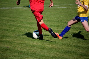 开云真人娱乐官网-世界青少年自行车赛中国骑手再创佳绩，2020全国青少年自行车锦标赛