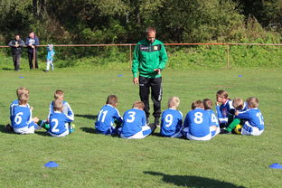 开云注册-中国篮球教练员技术战术创新能力提升路径，篮球教练发展